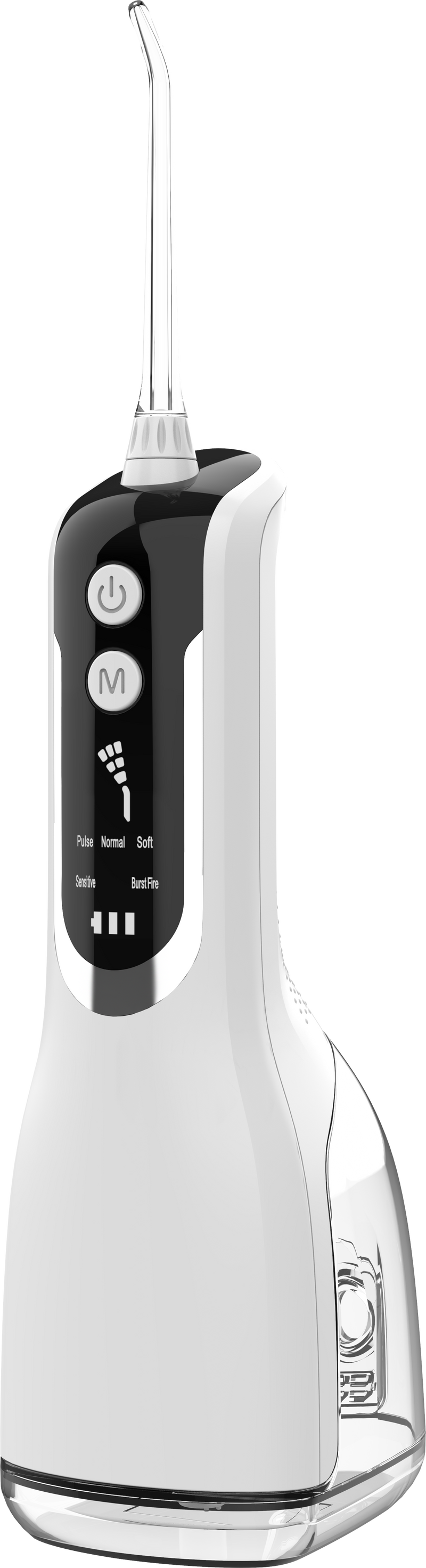 Cordless Water Flosser L12